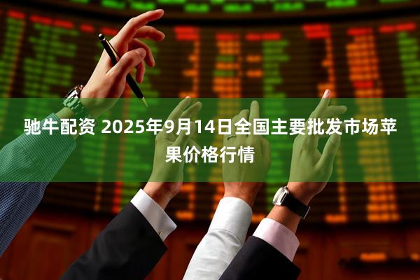 驰牛配资 2025年9月14日全国主要批发市场苹果价格行情