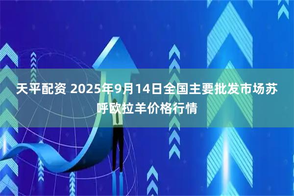 天平配资 2025年9月14日全国主要批发市场苏呼欧拉羊价格行情