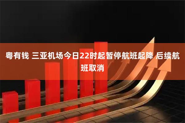 粤有钱 三亚机场今日22时起暂停航班起降 后续航班取消