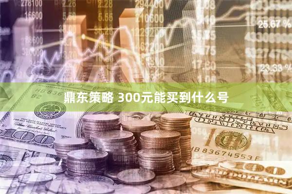 鼎东策略 300元能买到什么号