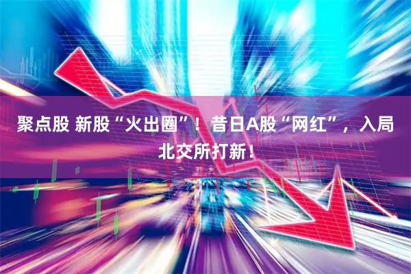 聚点股 新股“火出圈”！昔日A股“网红”，入局北交所打新！