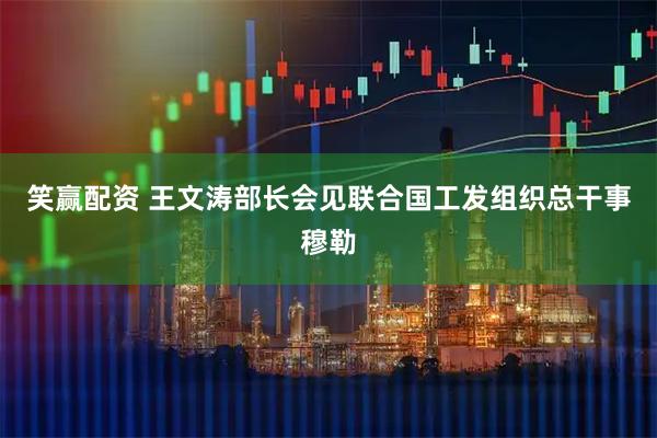 笑赢配资 王文涛部长会见联合国工发组织总干事穆勒